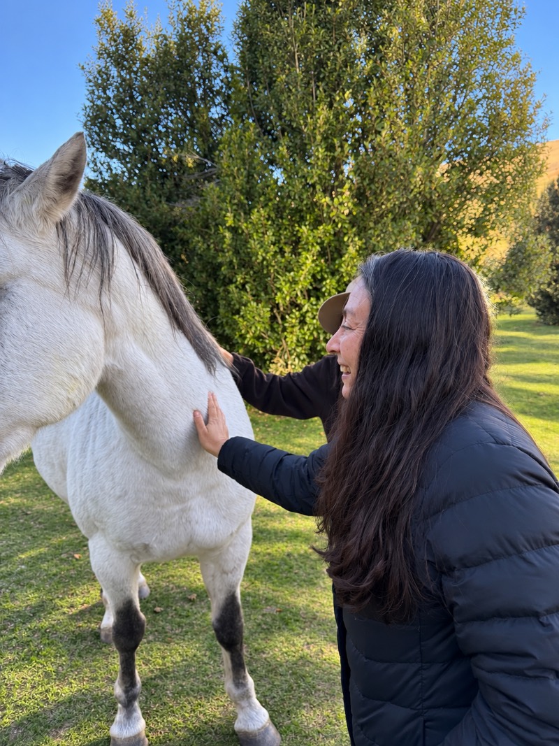 Una mano sobre el caballo, en silencio