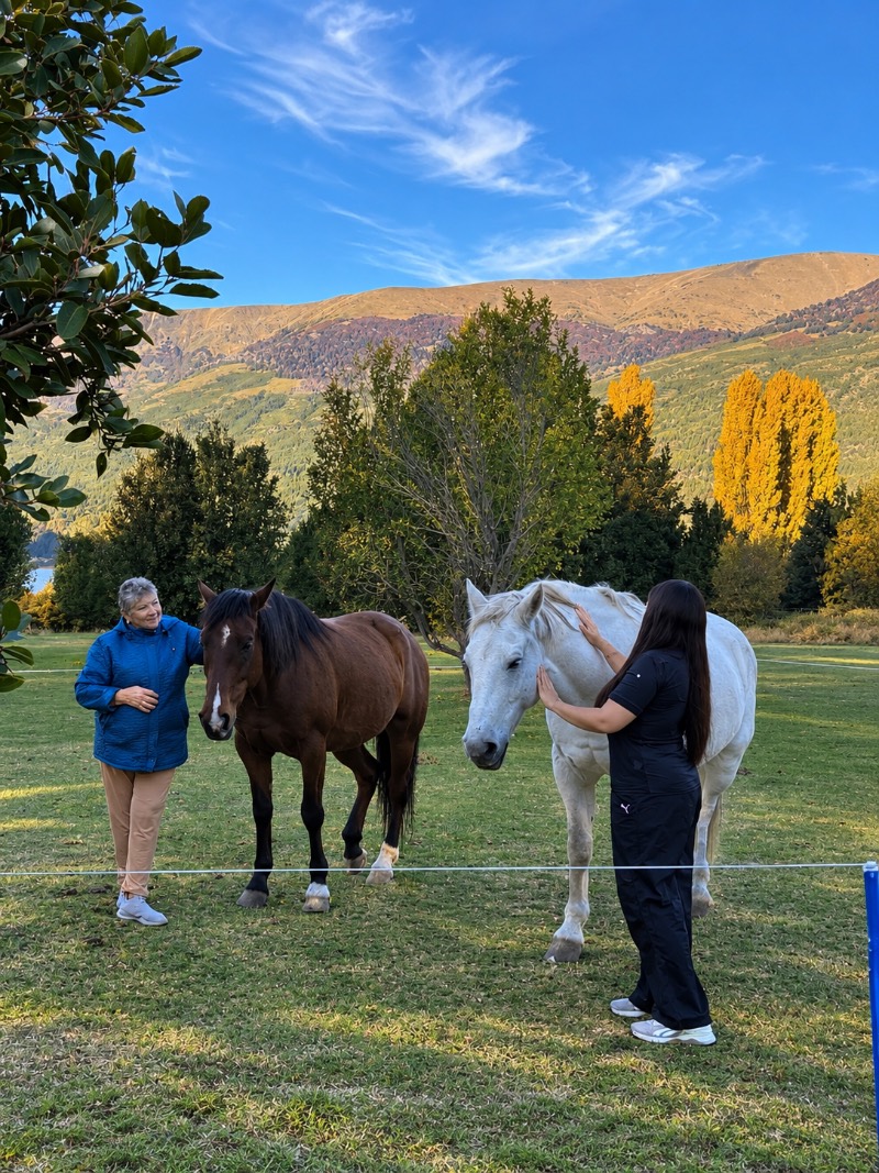 Encuentro con caballos frente a la montaña